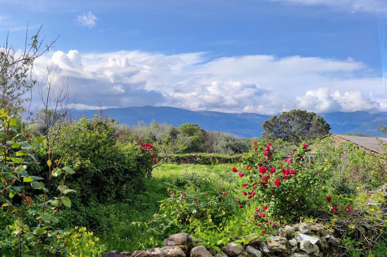Tu Casa De Pueblo Villa La Iglesuela Dış mekan fotoğraf